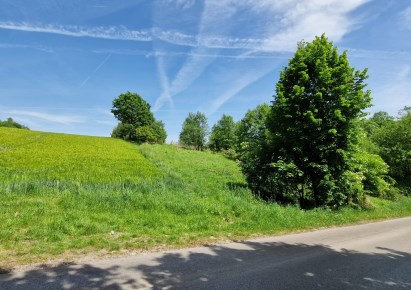 działka na sprzedaż - Krzeszowice (gw), Nowa Góra