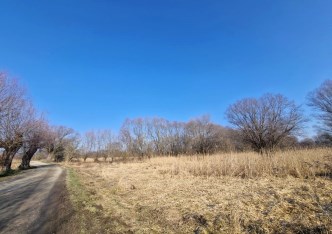 działka na sprzedaż - Zielonki, Dziekanowice
