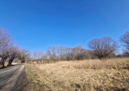 działka na sprzedaż - Zielonki, Dziekanowice