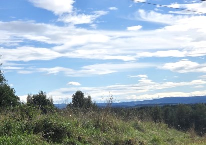 działka na sprzedaż - Czernichów, Nowa Wieś Szlachecka