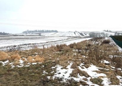 działka na sprzedaż - Zielonki, Garlica Murowana