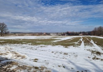 działka na sprzedaż - Iwanowice, Celiny