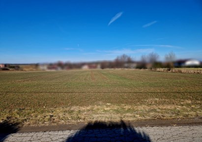 działka na sprzedaż - Iwanowice, Celiny