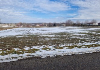 działka na sprzedaż - Iwanowice, Celiny
