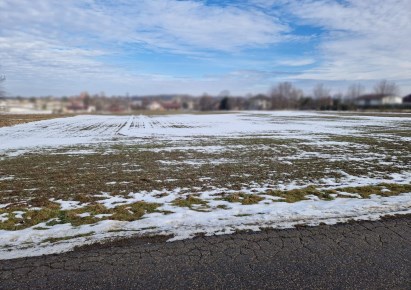 działka na sprzedaż - Iwanowice, Celiny