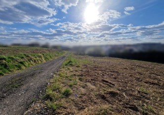 działka na sprzedaż - Zielonki, Bibice