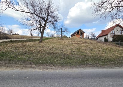 działka na sprzedaż - Zielonki, Owczary