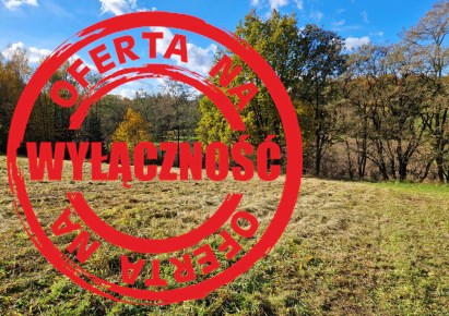 działka na sprzedaż - Iwanowice, Maszków