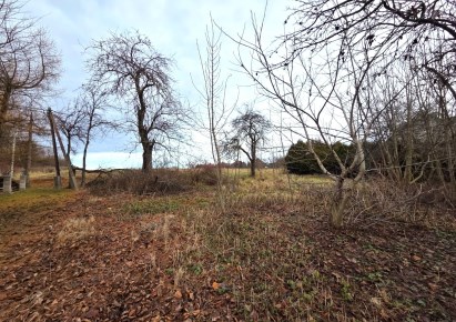 działka na sprzedaż - Skała (gw), Cianowice