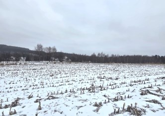 działka na sprzedaż - Zielonki, Owczary