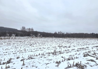działka na sprzedaż - Zielonki, Owczary
