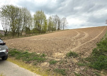działka na sprzedaż - Zielonki, Owczary