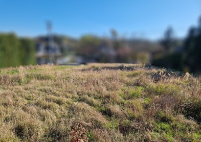 działka na sprzedaż - Kocmyrzów-Luborzyca, Maciejowice