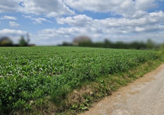 działka na sprzedaż - Kocmyrzów-Luborzyca, Dojazdów