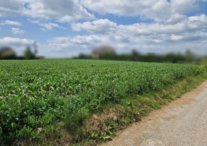 działka na sprzedaż - Kocmyrzów-Luborzyca, Dojazdów