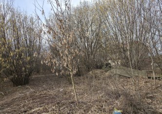 działka na sprzedaż - Zielonki, Bibice