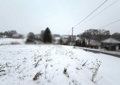 działka na sprzedaż - Skała (gw), Szczodrkowice