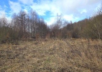 działka na sprzedaż - Skała (gw), Szczodrkowice