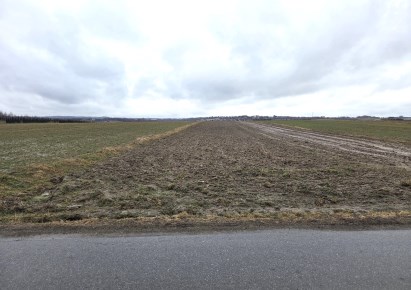 działka na sprzedaż - Zielonki, Trojanowice