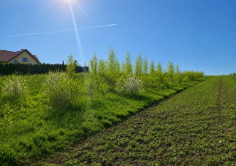 działka na sprzedaż - Iwanowice, Narama