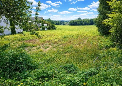 działka na sprzedaż - Iwanowice, Maszków