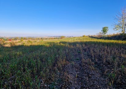 działka na sprzedaż - Kocmyrzów-Luborzyca, Wilków