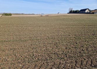 działka na sprzedaż - Iwanowice, Sieciechowice