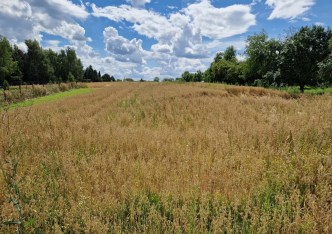 działka na sprzedaż - Michałowice (gw), Kozierów