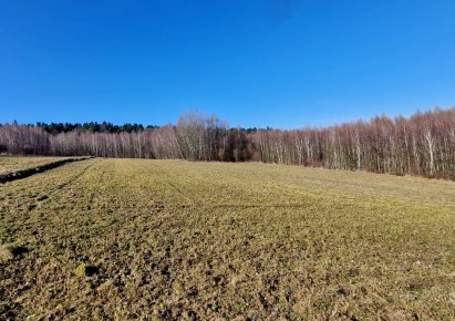 działka na sprzedaż - Wielka Wieś, Biały Kościół