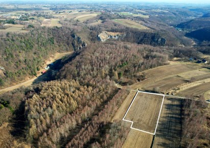 działka na sprzedaż - Wielka Wieś, Biały Kościół