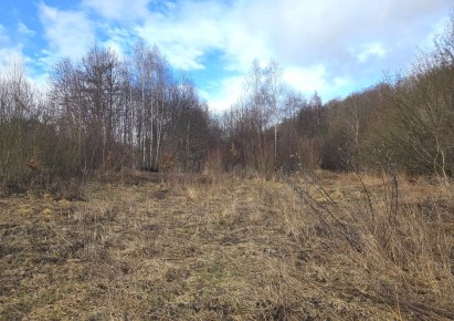 działka na sprzedaż - Skała (gw), Szczodrkowice