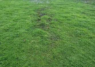 działka na sprzedaż - Kraków, Bronowice, Bronowice Wielkie