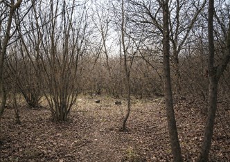 działka na sprzedaż - Zielonki, Bibice