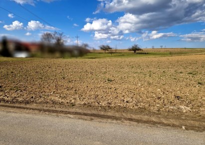działka na sprzedaż - Kocmyrzów-Luborzyca, Sadowie