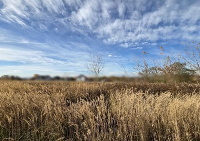 działka na sprzedaż - Kraków, Prądnik Biały, Tonie