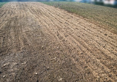 działka na sprzedaż - Kraków, Prądnik Biały, Tonie