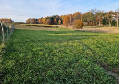 działka na sprzedaż - Michałowice (gw), Masłomiąca