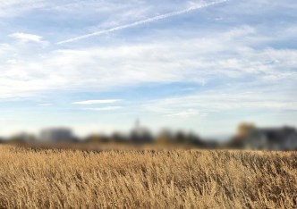 działka na sprzedaż - Kraków, Prądnik Biały, Tonie