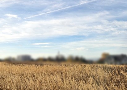 działka na sprzedaż - Kraków, Prądnik Biały, Tonie