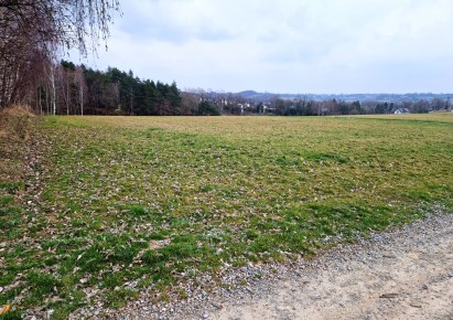 działka na sprzedaż - Michałowice (gw), Masłomiąca