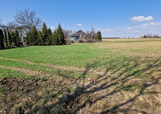 działka na sprzedaż - Iwanowice, Celiny