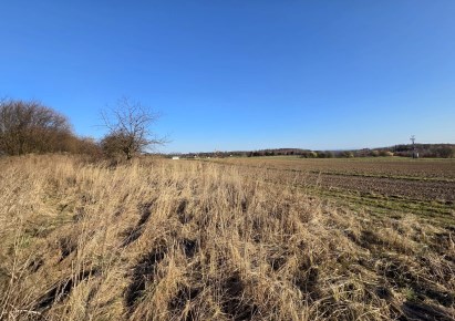 działka na sprzedaż - Skała (gw), Rzeplin