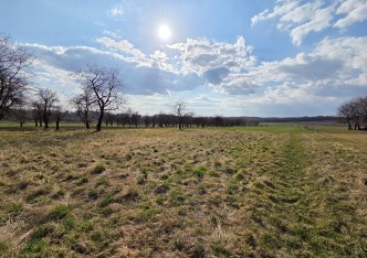 działka na sprzedaż - Skała (gw), Smardzowice