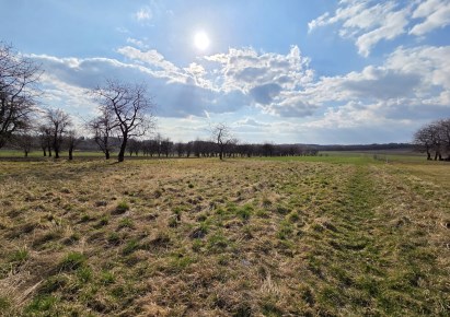 działka na sprzedaż - Skała (gw), Smardzowice