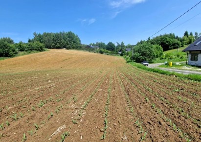 działka na sprzedaż - Zielonki, Wola Zachariaszowska
