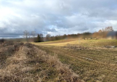 działka na sprzedaż - Skała (gw), Szczodrkowice