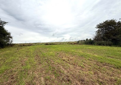 działka na sprzedaż - Skała (gw), Rzeplin