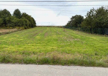 działka na sprzedaż - Skała (gw), Rzeplin