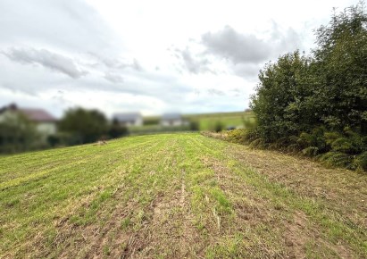 działka na sprzedaż - Skała (gw), Rzeplin