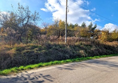 działka na sprzedaż - Skała (gw), Minoga